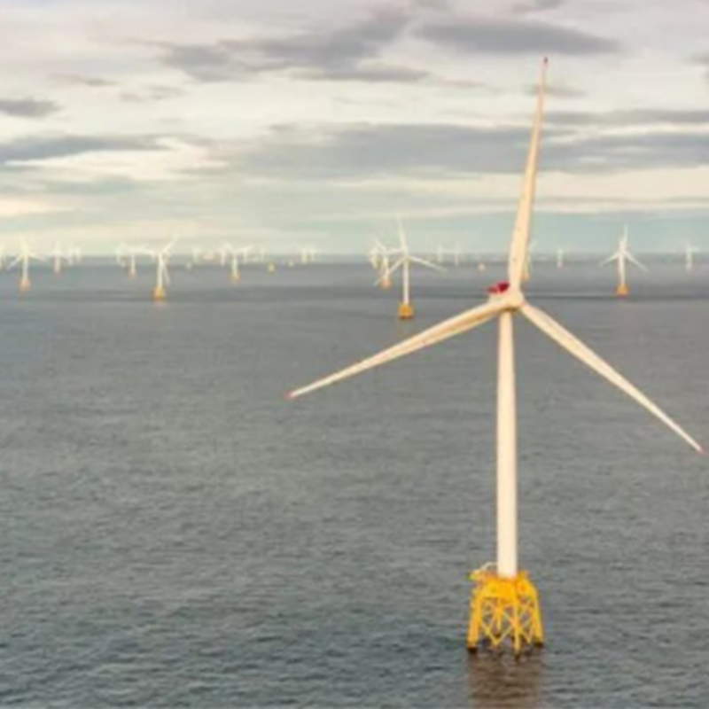 CIP співпрацює з владою Мексики над проектами екологічного водню та морського палива